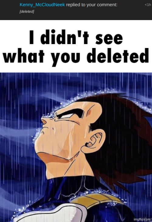 image tagged in i didn't see what you deleted | made w/ Imgflip meme maker
