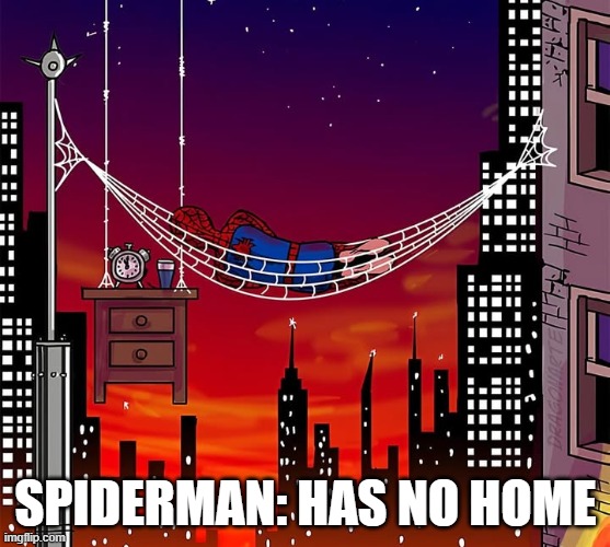 Spiderman...Has No Home | SPIDERMAN: HAS NO HOME | image tagged in spiderman | made w/ Imgflip meme maker