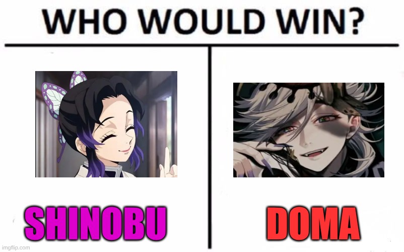 Who Would Win? Meme | SHINOBU; DOMA | image tagged in memes,who would win | made w/ Imgflip meme maker