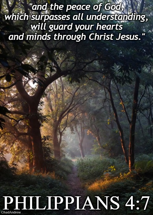 Bible Verse of the Day | "and the peace of God, which surpasses all understanding, will guard your hearts and minds through Christ Jesus."; PHILIPPIANS 4:7 | image tagged in christiansonly,bible verse of the day,jesus christ,god | made w/ Imgflip meme maker