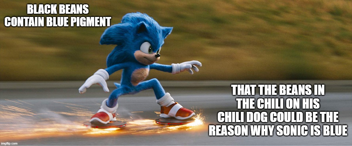 Sonic's blue Color | BLACK BEANS CONTAIN BLUE PIGMENT; THAT THE BEANS IN THE CHILI ON HIS CHILI DOG COULD BE THE REASON WHY SONIC IS BLUE | image tagged in sonic,beans,blue,pigment | made w/ Imgflip meme maker