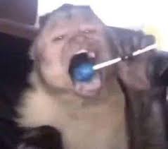 Mono Paleta Blank Meme Template