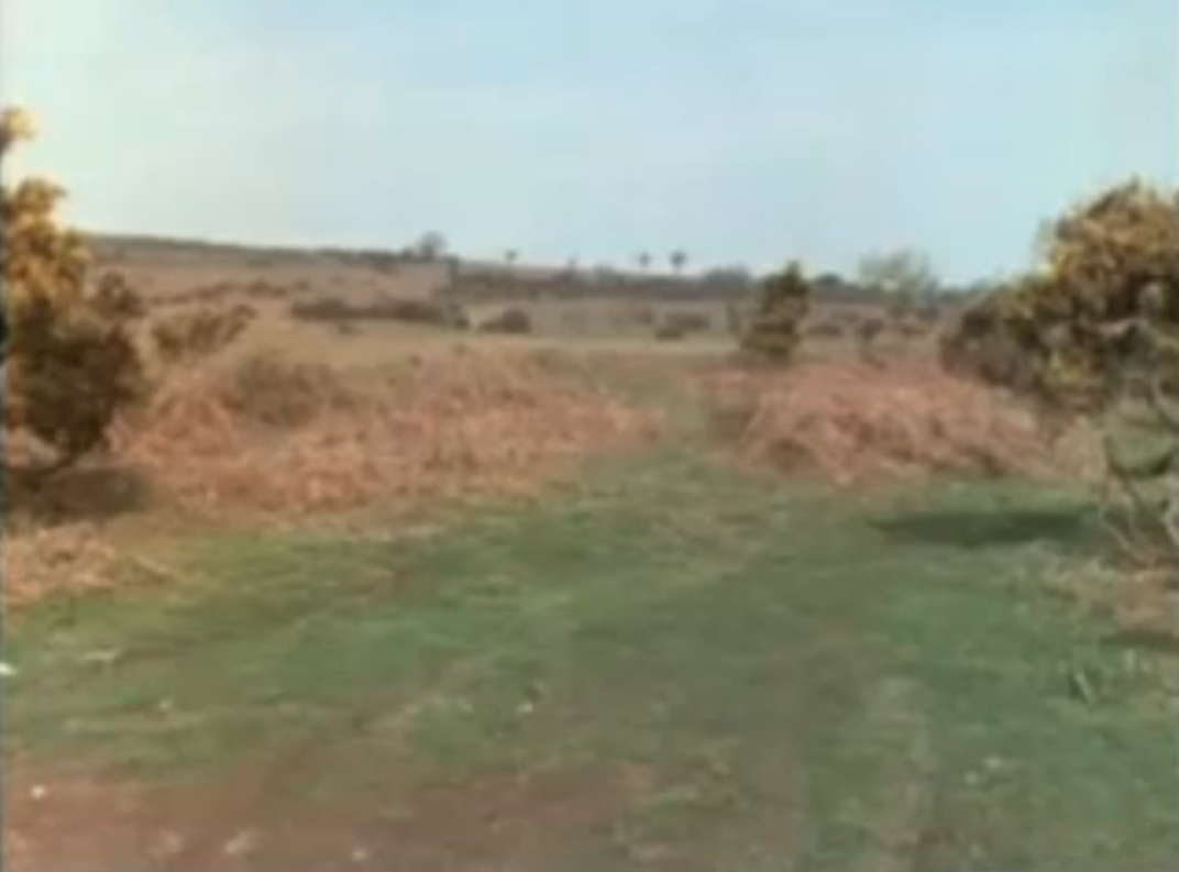 How not to be seen (Monty Python) Blank Meme Template