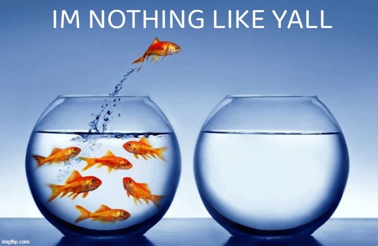 image tagged in i m nothin like yall | made w/ Imgflip meme maker