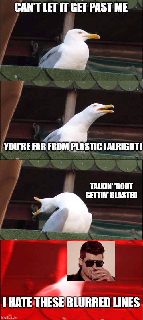 Blurred Lines | CAN'T LET IT GET PAST ME; YOU'RE FAR FROM PLASTIC (ALRIGHT); TALKIN' 'BOUT GETTIN' BLASTED; I HATE THESE BLURRED LINES | image tagged in memes,inhaling seagull | made w/ Imgflip meme maker