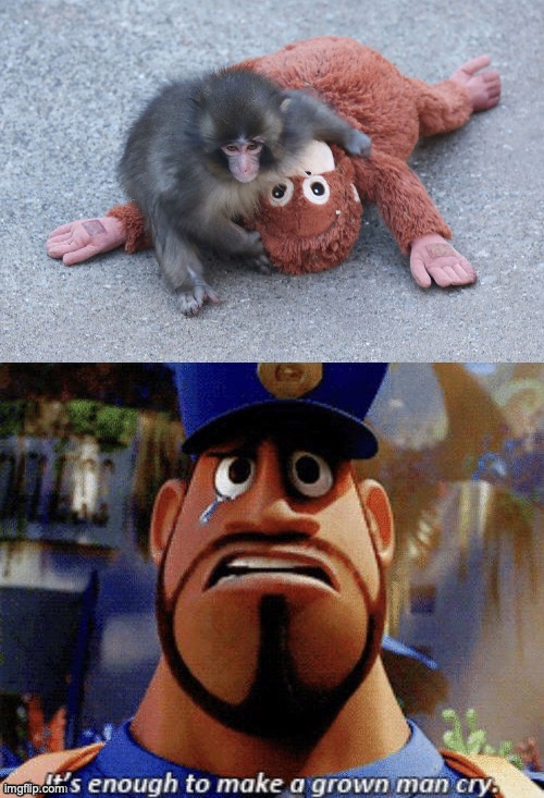 Poor Punch... | image tagged in memes,it's enough to make a grown man cry,funny,punch the monkey,tragic,news | made w/ Imgflip meme maker