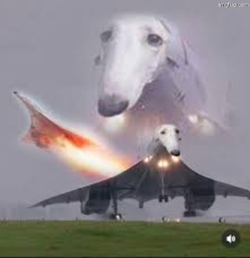 droop snoop | made w/ Imgflip meme maker