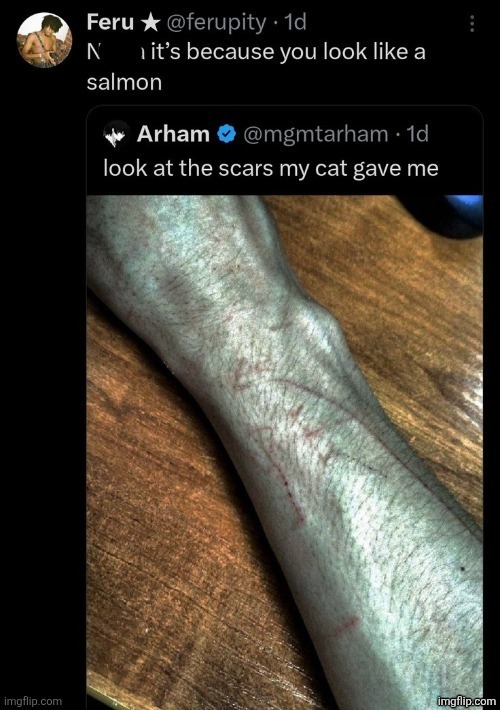 Zap wtf are you doing on twitter | made w/ Imgflip meme maker