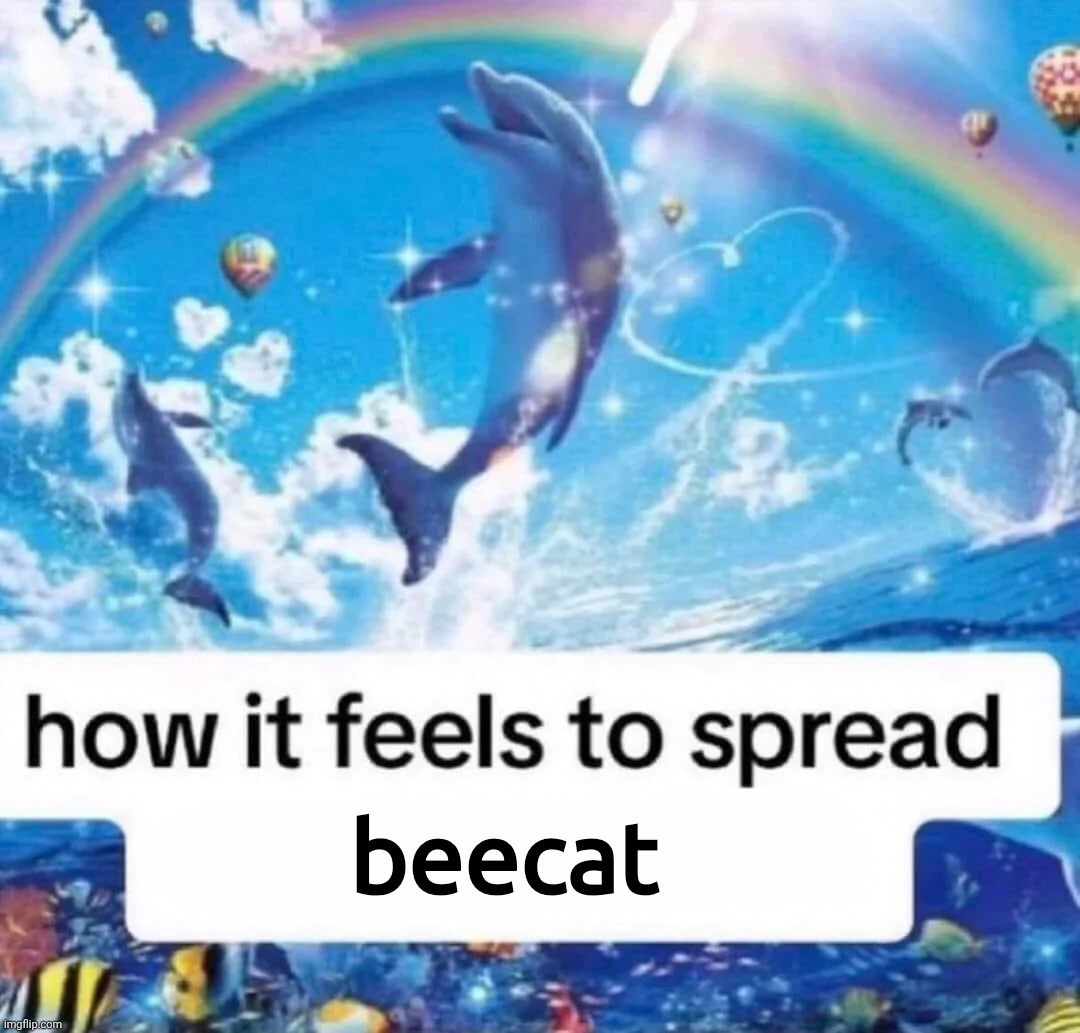 How it feels to spread misinformation | beecat | image tagged in how it feels to spread misinformation | made w/ Imgflip meme maker