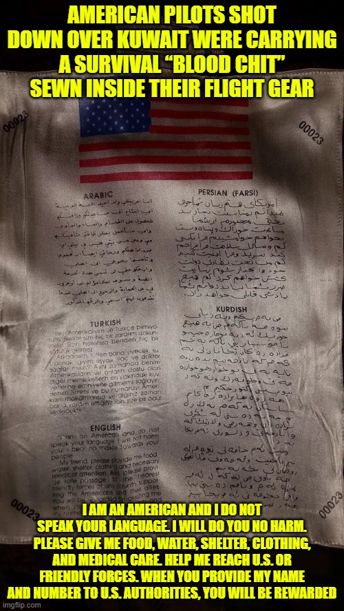 American pilot's "blood chit" multilanguage message | AMERICAN PILOTS SHOT DOWN OVER KUWAIT WERE CARRYING A SURVIVAL “BLOOD CHIT” SEWN INSIDE THEIR FLIGHT GEAR; I AM AN AMERICAN AND I DO NOT SPEAK YOUR LANGUAGE. I WILL DO YOU NO HARM. PLEASE GIVE ME FOOD, WATER, SHELTER, CLOTHING, AND MEDICAL CARE. HELP ME REACH U.S. OR FRIENDLY FORCES. WHEN YOU PROVIDE MY NAME AND NUMBER TO U.S. AUTHORITIES, YOU WILL BE REWARDED | image tagged in pilot,air force,iran,kuwait,trump,blood chit | made w/ Imgflip meme maker