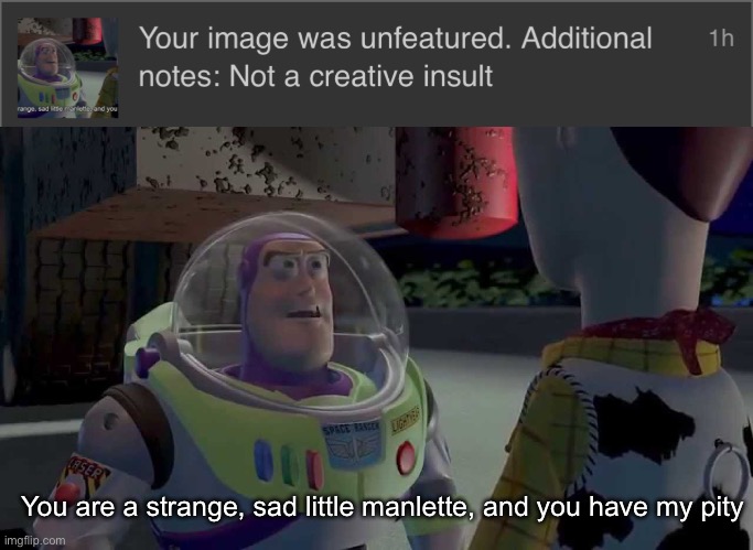 “Not a rare insult”: when you roast a rare insults stream mod | You are a strange, sad little manlette, and you have my pity | image tagged in you are a sad strange little man,ooh self-burn those are rare,insults,rare | made w/ Imgflip meme maker