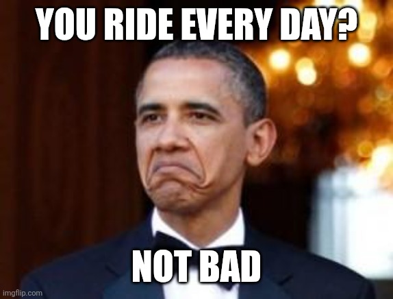 obama not bad | YOU RIDE EVERY DAY? NOT BAD | image tagged in obama not bad | made w/ Imgflip meme maker