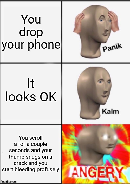 Oh crap | You drop your phone; It looks OK; You scroll a for a couple seconds and your thumb snags on a crack and you start bleeding profusely | image tagged in panik kalm angery | made w/ Imgflip meme maker