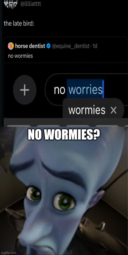 No Wormies? | NO WORMIES? | image tagged in megamind peeking,worm,worms | made w/ Imgflip meme maker