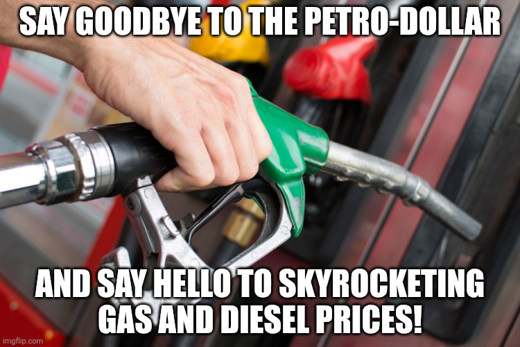 He was bailed out by the Rothschilds and took money from Miriam Adelson, and you think he cares about YOU or AMERICA??? | SAY GOODBYE TO THE PETRO-DOLLAR; AND SAY HELLO TO SKYROCKETING GAS AND DIESEL PRICES! | image tagged in gas pump | made w/ Imgflip meme maker