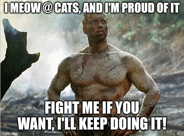 I'm so tuff | I MEOW @ CATS, AND I'M PROUD OF IT; FIGHT ME IF YOU WANT, I'LL KEEP DOING IT! | image tagged in tough guy | made w/ Imgflip meme maker
