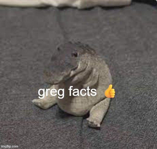 Did you know, if you get a regular piece of bread and rub nothing on it, you have a regular piece of bread??? | greg facts 👍 | image tagged in greg | made w/ Imgflip meme maker