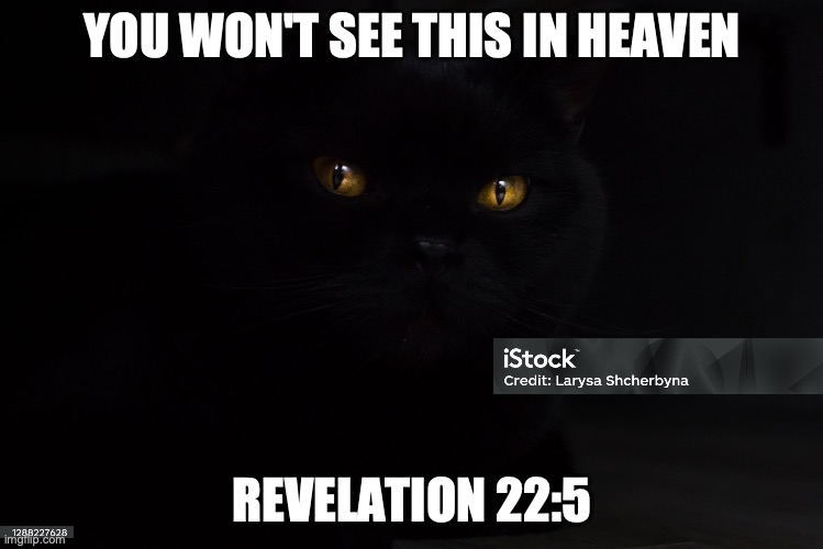  'starry-eyed' | YOU WON'T SEE THIS IN HEAVEN; REVELATION 22:5 | image tagged in no catnapping | made w/ Imgflip meme maker