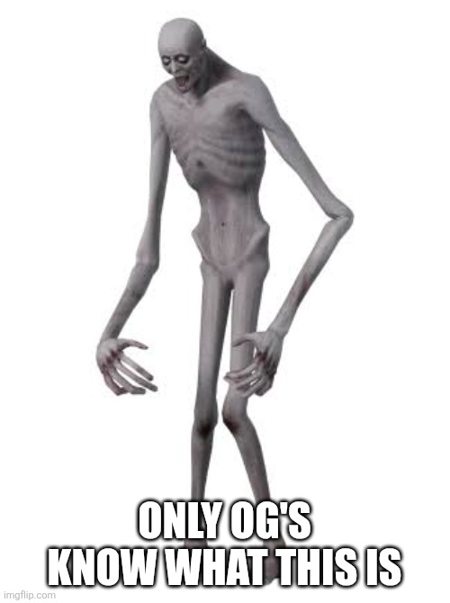 I sometimes wonder if anyone remembers this | ONLY OG'S KNOW WHAT THIS IS | image tagged in oh wow are you actually reading these tags | made w/ Imgflip meme maker