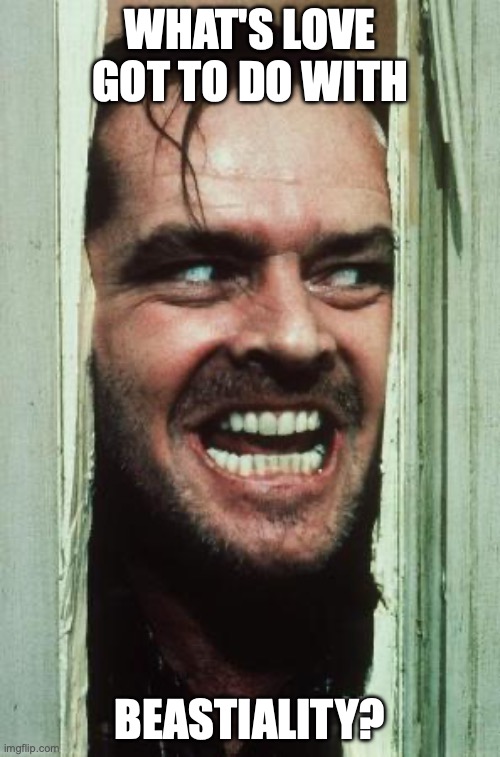 Here's Johnny Meme | WHAT'S LOVE GOT TO DO WITH; BEASTIALITY? | image tagged in memes,here's johnny | made w/ Imgflip meme maker