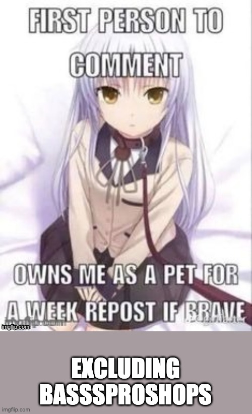 JOIN THE HIVEMIND | EXCLUDING BASSSPROSHOPS | image tagged in first person to comment owns as a pet for a week | made w/ Imgflip meme maker