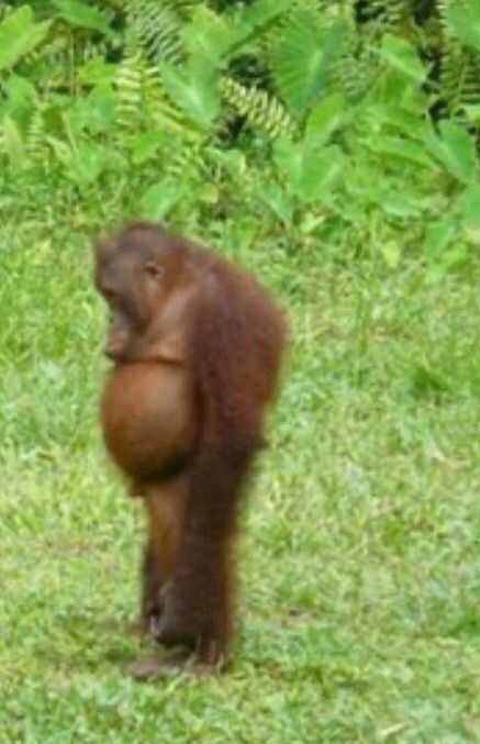 Nada de que hablar Blank Meme Template