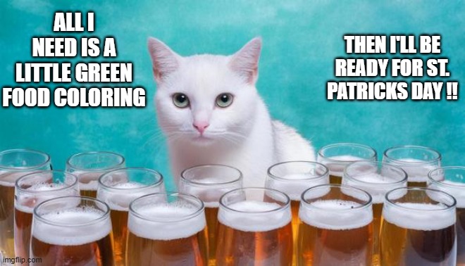 All this cat need is some food coloring and she'll be ready for St. Patrick's Day !! | ALL I NEED IS A LITTLE GREEN FOOD COLORING; THEN I'LL BE READY FOR ST. PATRICKS DAY !! | image tagged in kittens,funny,humor,st patricks day,beer,dogs | made w/ Imgflip meme maker