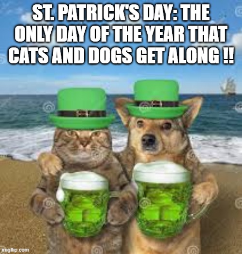 St. Patrick's Day: The only day of the year that cats and dogs get along !! | ST. PATRICK'S DAY: THE ONLY DAY OF THE YEAR THAT CATS AND DOGS GET ALONG !! | image tagged in cat,kittens,funny,humor,st patricks day,dogs | made w/ Imgflip meme maker