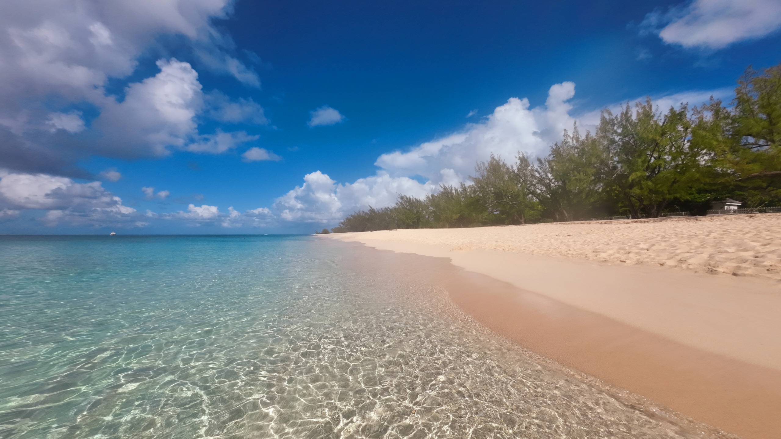 Tropical Beach, Grand Turk Blank Meme Template