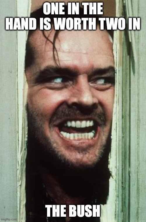 Here's Johnny | ONE IN THE HAND IS WORTH TWO IN; THE BUSH | image tagged in memes,here's johnny | made w/ Imgflip meme maker