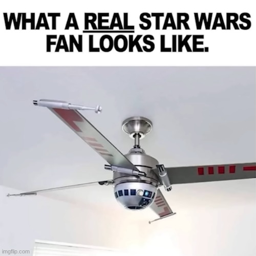 A Real Star Wars Fan | made w/ Imgflip meme maker