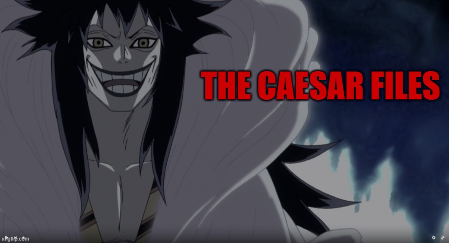 caesar files | THE CAESAR FILES | image tagged in one piece,anime | made w/ Imgflip meme maker