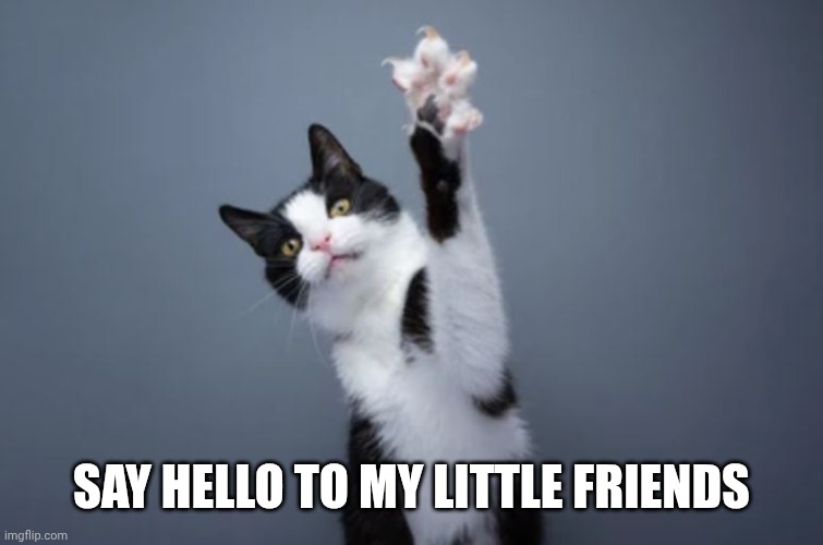 Cat with Claws | SAY HELLO TO MY LITTLE FRIENDS | image tagged in cat with claws | made w/ Imgflip meme maker