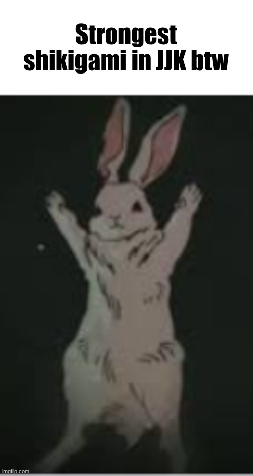 Rabbit #273 | Strongest shikigami in JJK btw | made w/ Imgflip meme maker