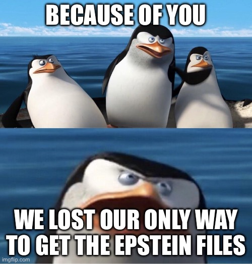 Wouldn't that make you | BECAUSE OF YOU; WE LOST OUR ONLY WAY TO GET THE EPSTEIN FILES | image tagged in wouldn't that make you | made w/ Imgflip meme maker