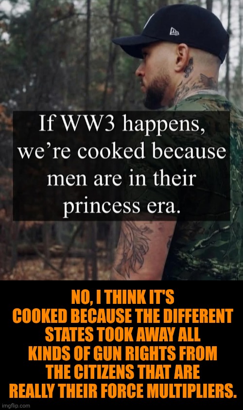 Funny | NO, I THINK IT'S COOKED BECAUSE THE DIFFERENT STATES TOOK AWAY ALL KINDS OF GUN RIGHTS FROM THE CITIZENS THAT ARE REALLY THEIR FORCE MULTIPLIERS. | image tagged in funny,gun rights,politics,usa,cooked,second amendment | made w/ Imgflip meme maker