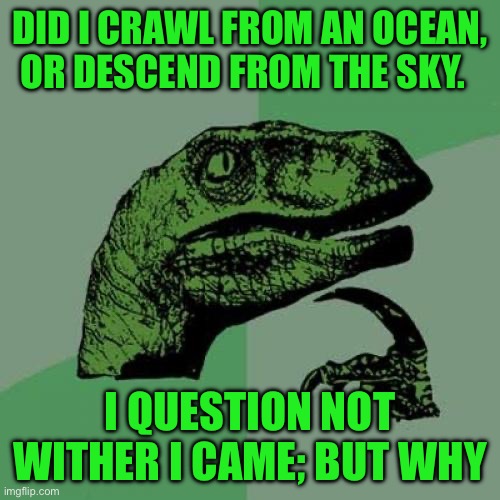 Philosoraptor Meme | DID I CRAWL FROM AN OCEAN, OR DESCEND FROM THE SKY. I QUESTION NOT WITHER I CAME; BUT WHY | image tagged in memes,philosoraptor | made w/ Imgflip meme maker