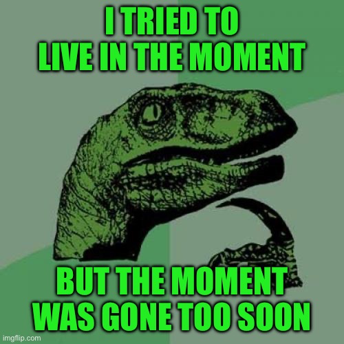 Philosoraptor Meme | I TRIED TO LIVE IN THE MOMENT; BUT THE MOMENT WAS GONE TOO SOON | image tagged in memes,philosoraptor | made w/ Imgflip meme maker