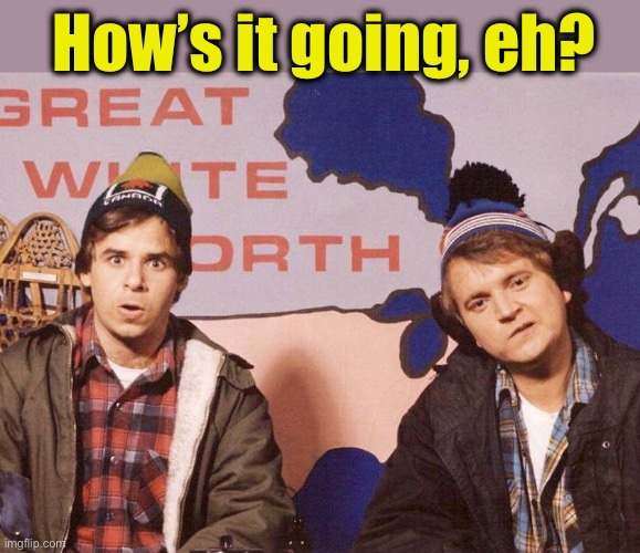 Bob and Doug | How’s it going, eh? | image tagged in bob and doug | made w/ Imgflip meme maker