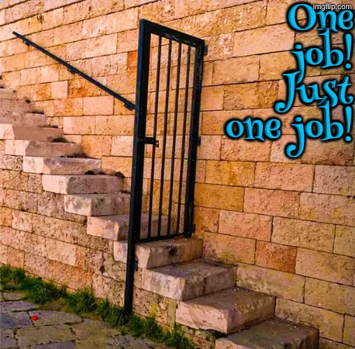 Dude what’s the point? | One job! Just one job! | image tagged in you had one job,task failed successfully,do you are have stupid,duhhh dumbass,dude wtf,nonsense | made w/ Imgflip meme maker