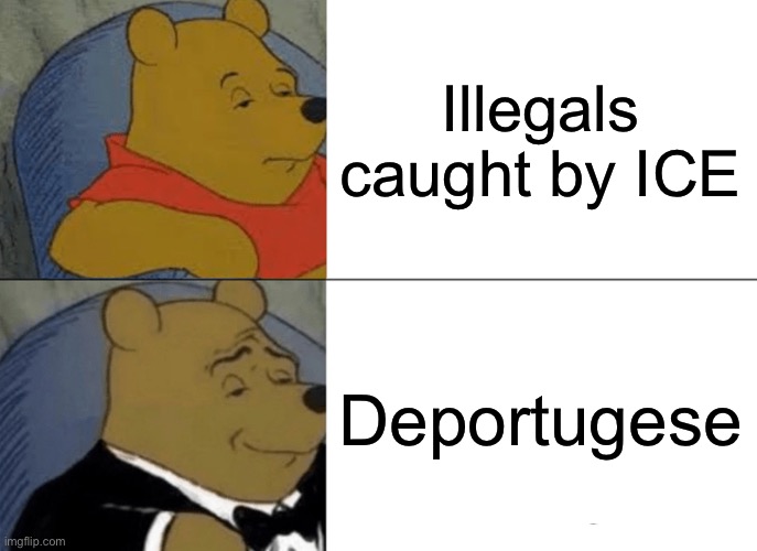 this is the only place I could think of to put this :skull: | Illegals caught by ICE; Deportugese | image tagged in memes,tuxedo winnie the pooh,funny,politics,illegal immigration,ice | made w/ Imgflip meme maker