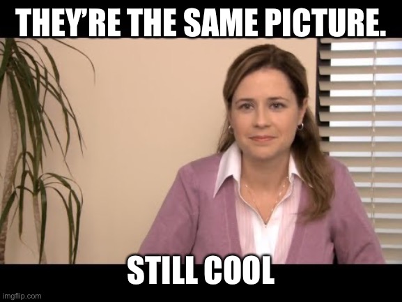They're the same picture | THEY’RE THE SAME PICTURE. STILL COOL | image tagged in they're the same picture | made w/ Imgflip meme maker