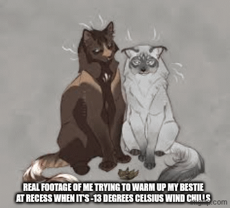 WE BE FREEZING | REAL FOOTAGE OF ME TRYING TO WARM UP MY BESTIE AT RECESS WHEN IT'S -13 DEGREES CELSIUS WIND CHILLS | image tagged in gifs,cats | made w/ Imgflip images-to-gif maker