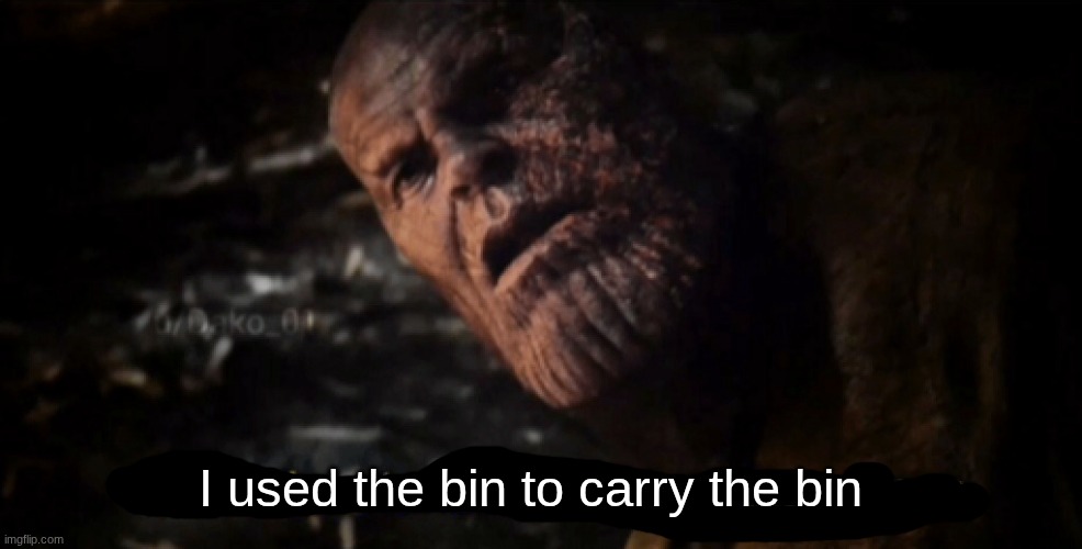 I used the stones to destroy the stones | I used the bin to carry the bin | image tagged in i used the stones to destroy the stones | made w/ Imgflip meme maker