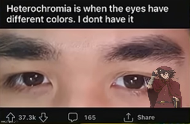 tecchou is so amazing guys i love him sm | image tagged in tecchou,tecchousuehiro,bungostraydogs,bsd,funny,stupidlilguy | made w/ Imgflip meme maker