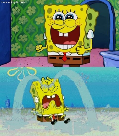 spongebob happy and sad | image tagged in spongebob happy and sad | made w/ Imgflip meme maker