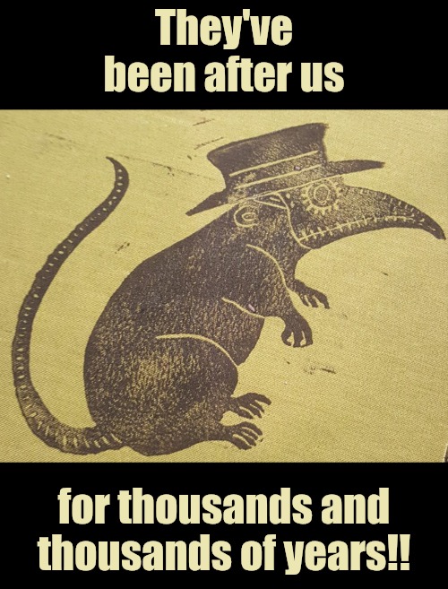 They've been after us for thousands and thousands of years!! | image tagged in rodent | made w/ Imgflip meme maker