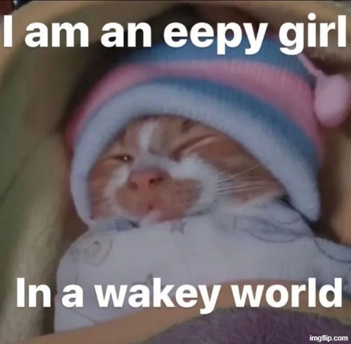 gn chat | made w/ Imgflip meme maker