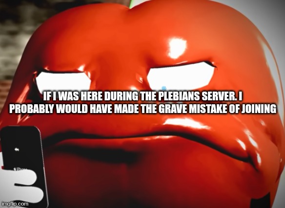 I'm a dumb stupid idiot so I'd definitely would have joined | IF I WAS HERE DURING THE PLEBIANS SERVER. I PROBABLY WOULD HAVE MADE THE GRAVE MISTAKE OF JOINING | image tagged in pepperman stare | made w/ Imgflip meme maker