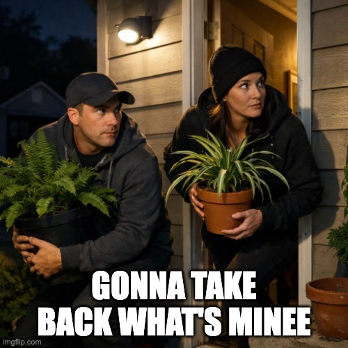 a couple taking their plants from outside a home sneakily | GONNA TAKE BACK WHAT'S MINEE | image tagged in a couple taking their plants from outside a home sneakily | made w/ Imgflip meme maker